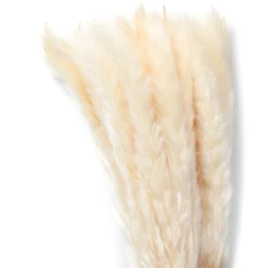 HOMLA Bukiet Suszek Lanati Naturalnych 75 Cm