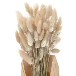 HOMLA Bukiet Suszek Lanati Naturalnych 40 Cm