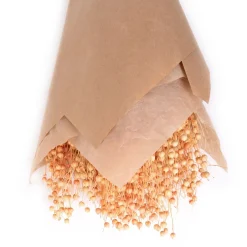 HOMLA Bukiet Suszek Roque Pomaranczowy 60 Cm