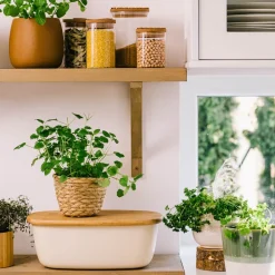 HOMLA Chlebak Nores Z Bambusowa Pokrywka 37X22X14 Cm