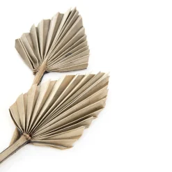 HOMLA Dyfuzor Roque Waterlily 50 Ml