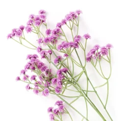 HOMLA Galazka Cladel Sztuczna Rozowa 63 Cm