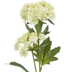 HOMLA Galazka Sztuczna Anise Anyz Zolta 48 Cm