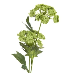 HOMLA Galazka Sztuczna Anise Anyz Zielona 48 Cm