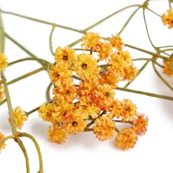 HOMLA Galazka Sztuczna Cladel Pomaranczowa 61 Cm