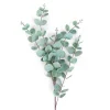 HOMLA Galazka Sztuczna Eucalyptus Zielona 102 Cm