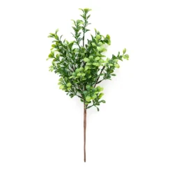 HOMLA Galazka Sztuczna Farve Bukszpan 38 Cm