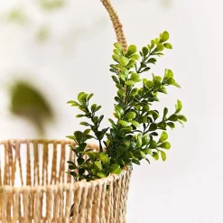 HOMLA Galazka Sztuczna Farve Bukszpan 71 Cm