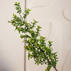 HOMLA Galazka Sztuczna Farve Bukszpan 71 Cm