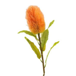 HOMLA Galazka Sztuczna Malum Banksja 66 Cm