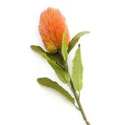 HOMLA Galazka Sztuczna Malum Banksja 66 Cm