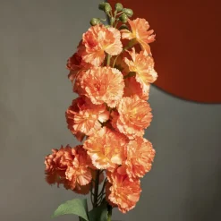 HOMLA Galazka Sztuczna Tena Gozdziki Pomaranczowe 82 Cm