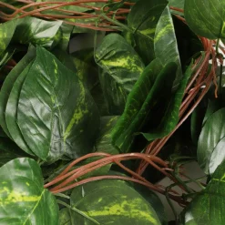 HOMLA Girlanda Z Lisci Sztuczna Zeleno Epipremnum 240 Cm