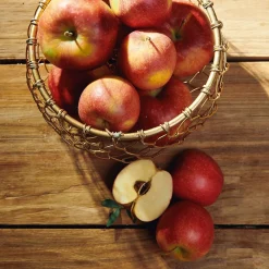 HOMLA Koszyk Rissa Okragly S 18X9 Cm