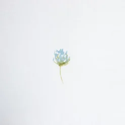 HOMLA Pościel Sadie Bawelniana W Kwiatki Z Rozowa Lamowka 160X200 + 2*50X60 Cm