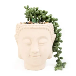 HOMLA Roslina Sztuczna Esin W Bezowej Donicy 13X12X19 Cm