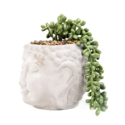 HOMLA Roslina Sztuczna Esin W Szarej Donicy 19X18X14,5 Cm