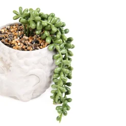 HOMLA Roslina Sztuczna Esin W Szarej Donicy 19X18X14,5 Cm