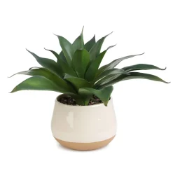 HOMLA Roslina Sztuczna Semela Agawa 38 Cm