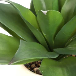 HOMLA Roslina Sztuczna Semela Agawa 38 Cm