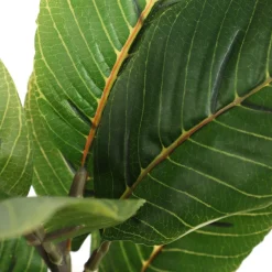 HOMLA Roslina Sztuczna Semela Difenbachia 36 Cm