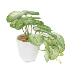 HOMLA Roslina Sztuczna Semela Epipremnum Zlocista 18 Cm