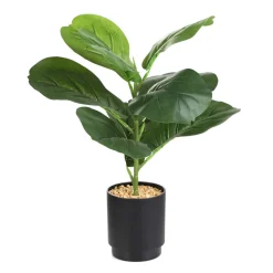 HOMLA Roslina Sztuczna Semela Fikus 43 Cm