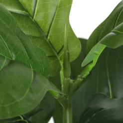 HOMLA Roslina Sztuczna Semela Fikus 43 Cm