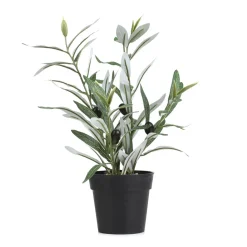 HOMLA Roslina Sztuczna Semela Krzak Oliwny 35 Cm