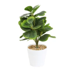 HOMLA Roslina Sztuczna Semela Peperomia 30 Cm