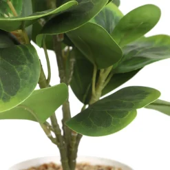 HOMLA Roslina Sztuczna Semela Peperomia 30 Cm