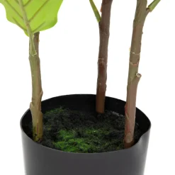 HOMLA Roslina Sztuczna Tropical Zone Figowiec 100 Cm