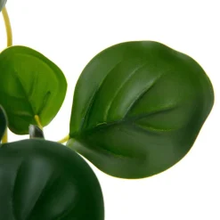 HOMLA Roslina Sztuczna Tropical Zone Pepperomia 43 Cm