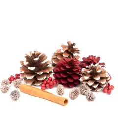 HOMLA Susz Dekoracyjny Roque Pine & Cinnamon 12X16 Cm