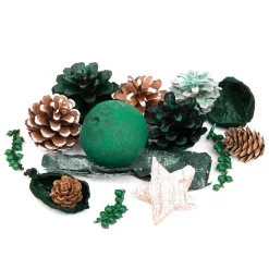 HOMLA Susz Dekoracyjny Roque Pine 12X620 Cm