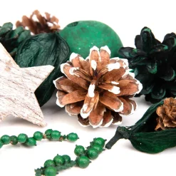 HOMLA Susz Dekoracyjny Roque Pine 12X620 Cm