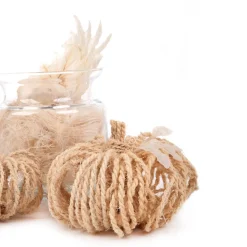 HOMLA Susz Dekoracyjny Roque Z Dyniami Z Wlokna Kokosowego 20X22 Cm