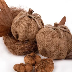 HOMLA Susz Dekoracyjny Roque Zapachowy Z Dyniami 12X16 Cm