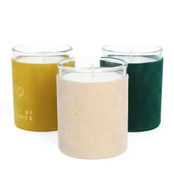 HOMLA Swieca Zapachowa Eternal Healing Woods 230 G