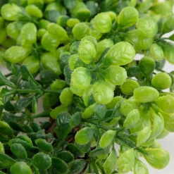 HOMLA Wieniec Farve Z Bukszpanu 35 Cm